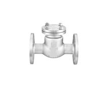 MGAYTYOAG Válvula de retención de brida de acero inoxidable 316L H44W-16P Válvula de retención horizontal unidireccional (G1-1/4)