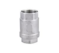 MGAYTYOAG Válvula de retención vertical de acero inoxidable 304 H12W-16P, válvula unidireccional, rosca interna, válvula de retención de sellado duro, 4 minutos, 6 minutos, 1 pulgada (201-G2)
