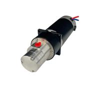 MGPKPF0.9-BSDC24V50W Motor cepillado Bomba de engranajes magnéticos de 24 V CC 0,9 ml/rev. 3LPM SUS 316L Cuerpo PEEK Engranaje Sellado de PTFE