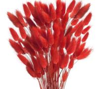 MHDAMAI Secas Naturales Cola de Conejo Flor,Hierba Seca de Cola de Conejo 60pcs Hierba de Pampas Secas para La Sala de Estar del Hogar Decoración de Racimos de Flores,Rojo