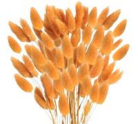 MHDAMAI Secas Naturales Cola de Conejo Flor,Hierba Seca de Cola de Conejo 60pcs Hierba de Pampas Secas para La Sala de Estar del Hogar Decoración de Racimos de Flores,Naranja