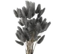 MHDAMAI Secas Naturales Cola de Conejo Flor,Hierba Seca de Cola de Conejo 60pcs Hierba de Pampas Secas para La Sala de Estar del Hogar Decoración de Racimos de Flores,Gris