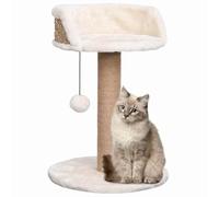Mhdvray Árbol para gatos con columna rascadora de 49 cm de alto, pequeño árbol rascador para gatos y gatos de hasta 3 kg, mueble compacto para gatos con columna de algas marinas, cómoda cama para