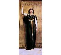 MHFFDYIV Famoso Lona Arte Vintage Pinturas una sacerdotisa de John William Godward para Decoración de Paredes 60x90cm