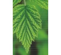 Mi Diario de Sueños: Manifestación 369 para Mujeres con Estilo - Gratitud, Afirmaciones y Ley de la Atracción: Descubre el poder de tus pensamientos ... agradecer, soñar y manifestar con propósito