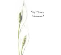 Mi Diario Devocional: Un cuaderno para reflexionar, orar y fortalecer tu fe cada día