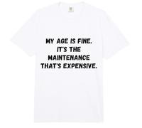 Mi Edad está Bien. Es el Mantenimiento Gracioso Dicho Humor Comfort Colors Adult Heavyweight T-Shirt
