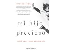 Mi Hijo Precioso: El Viaje de un Padre a Traves de la Adiccion de su Hijo