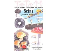Mi primera guía de campo de setas y otros hongos