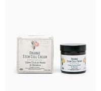 Mi Rebotica - Crema Células Madre de Naranja, Crema Antioxidante con Vitaminas y Rosa Mosqueta, Mejora el Tono, Luminosidad y Firmeza (60 ml)