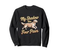 Mi Sombra Tiene Cuatro Patas Funny Dog Lover Meme My Shadow Paws Sudadera