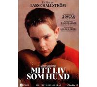 Mi vida como un perro / My Life As A Dog (1985) ( Mitt liv som hund ) [ Origen Sueco, Ningun Idioma Espanol ]