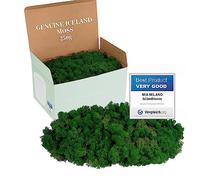 Mia Milano musgo decoración para manualidades, islandés preservado verde oscuro, 250 g
