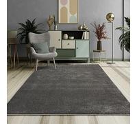 Mia´s Teppiche Emely - Alfombra Moderna y Suave de Pelo Corto (17 mm)