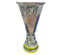 MIAOWR Mini Trofeo De La Europa Football League Altura 16 Cm Recuerdo De Los Champions Decoración para La Mesa del Bar De La Oficina Regalos O Colecciones para Aficionados