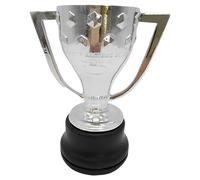 MIAOWR Trofeo De Liga Española Coleccionables De Campeones De Fútbol Regalos De Recuerdos para Fanáticos Decoración De Escritorio De Oficina En Casa,32cm/12.6in