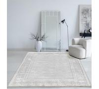 Mia's Teppiche Cielo Alfombra Moderna de Pelo Corto denso, para salón, Dormitorio, Elegante Brillo, Fibra Brillante, Efecto de Pluma, Color Gris, 80 x 150 cm