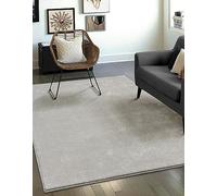 Mia's Teppiche Emely - Alfombra Moderna y Suave de Pelo Corto (17 mm), Color Plateado, 120 cm, Redonda