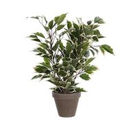 MICA Decorations Planta Artificial, Bunt, Gruen, 30 x 30 x 40 cm, 6