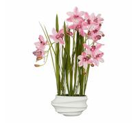 Mica Decorations Planta Decorativa Cymbidium Poliéster Orquídea 81 x 49 x 40 cm Artificial