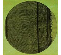 Micah Blue Smaldone - The Ring Of The Rise [Vinilo]