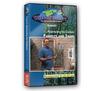Micah Mullen - Video Art Lessons"Abstracting The Outdoors: Forests and Swamps" DVD