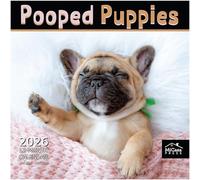 MICASA PRESS Pooped Puppies - Calendario de pared 2026 de 12 meses, abierto de 12 x 24 pulgadas, papel grueso y resistente, regalo de vacaciones, bonito y divertido calendario 2026
