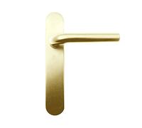 MICEL - 05755 - Juego de manilla para puerta con placa de ángulo curvo y maneta de acero inoxidable, Color dorado PVD, 225 x 138 x 66 mm