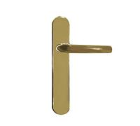 MICEL - 05855 - Juego de manilla para puerta con placa de ángulo curvo y maneta de acero inoxidable, Color dorado PVD, 225 x 138 x 66 mm