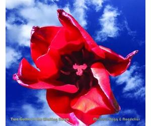 Michael Begg & Roedelius Two Gather in the Waiting Room (CD) (Importación USA)