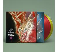 Michael Cashmore - The Snow Abides Completely [Vinilo]