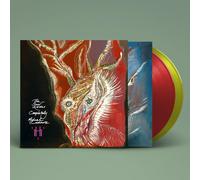 Michael Cashmore The Snow Abides Completely (Vinyl) (Importación USA)