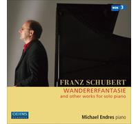 Michael Endres Wandererfantasie & Other Works for Solo Pi (CD) (Importación USA)