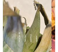 Tim Berne, Michael Formanek - Parlour Games