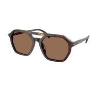 Michael Kors Hombre Michael Kors MK2251U JACKSON HOLE 300673 Gafas de sol Acetato Tortuga Marrón Piloto Normal