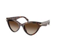 Michael Kors Mujer Michael Kors MK2259U ROANOKE 403113 Gafas de sol Acetato Tortuga Cat Eye Normal Sombreado