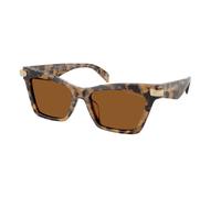 Michael Kors Mujer Michael Kors MK2276U GRAND CAYMAN 393073 Gafas de sol Acetato Tortuga Marrón Cat Eye Normal