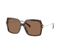 Michael Kors Mujer Sunglass MK2247U Quogue - Color del Marco: Carey crema/oscuro, Color de la Lente: Marrón liso