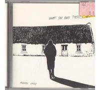 Michael Lally - What You Find There