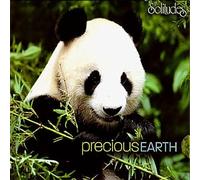 Michael Maxwell - Precious Earth