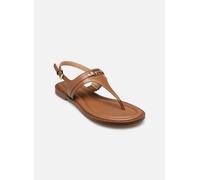 Michael Kors- Sandalia con tira en T Mandy- Shoes- Mujer- Marrón- 36 EU- Sandalia con tira en T Mandy