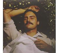 Michael Rault - It's A New Day Tonight [VINYL] [Vinilo]