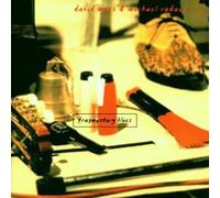 Michael Rodach & David M - Fragmentary Blues