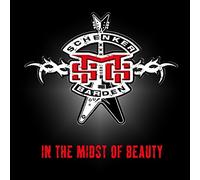 Michael Schenker Group - In The Midst Of Beauty