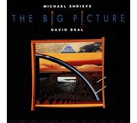Michael Shrieve - The Big Picture