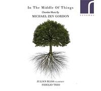 Michael Zev Gordon : Musique de chambre. Bliss, Trio Fidelio.