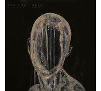 Michal lapaj - Are you there [Vinilo]