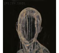 Michal Lapaj Are You There (Vinyl) 12" Album