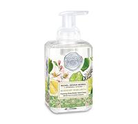 Michel Design Works FOA388 - Jabonera de 530 ml con manteca de karité y aloe vera, 17,8 fl oz en dispensador de bomba