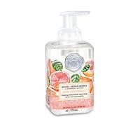 Michel Design Works Jabón de manos con crema de manteca de karité, jabón de espuma (530 ml)